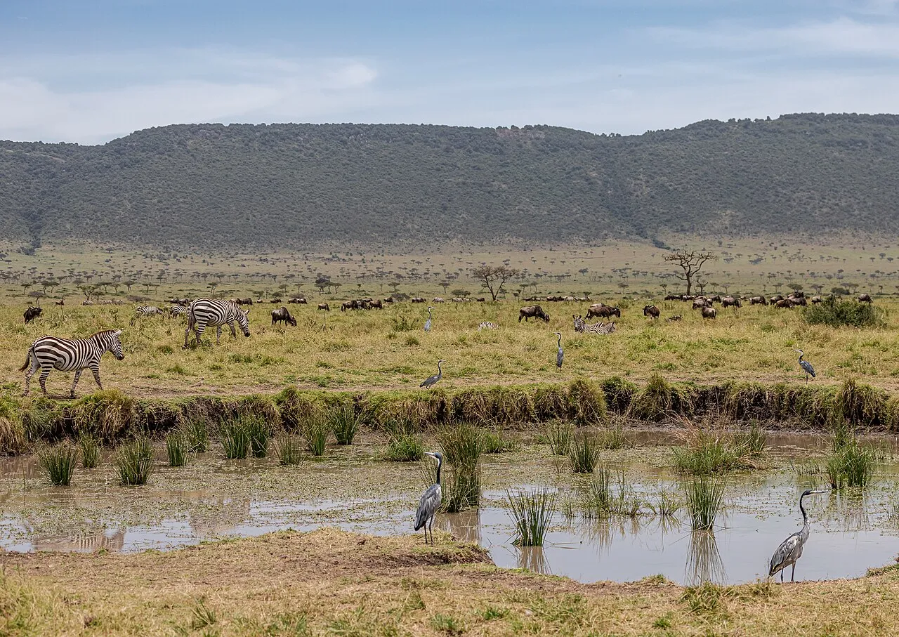 Kenyan landscape