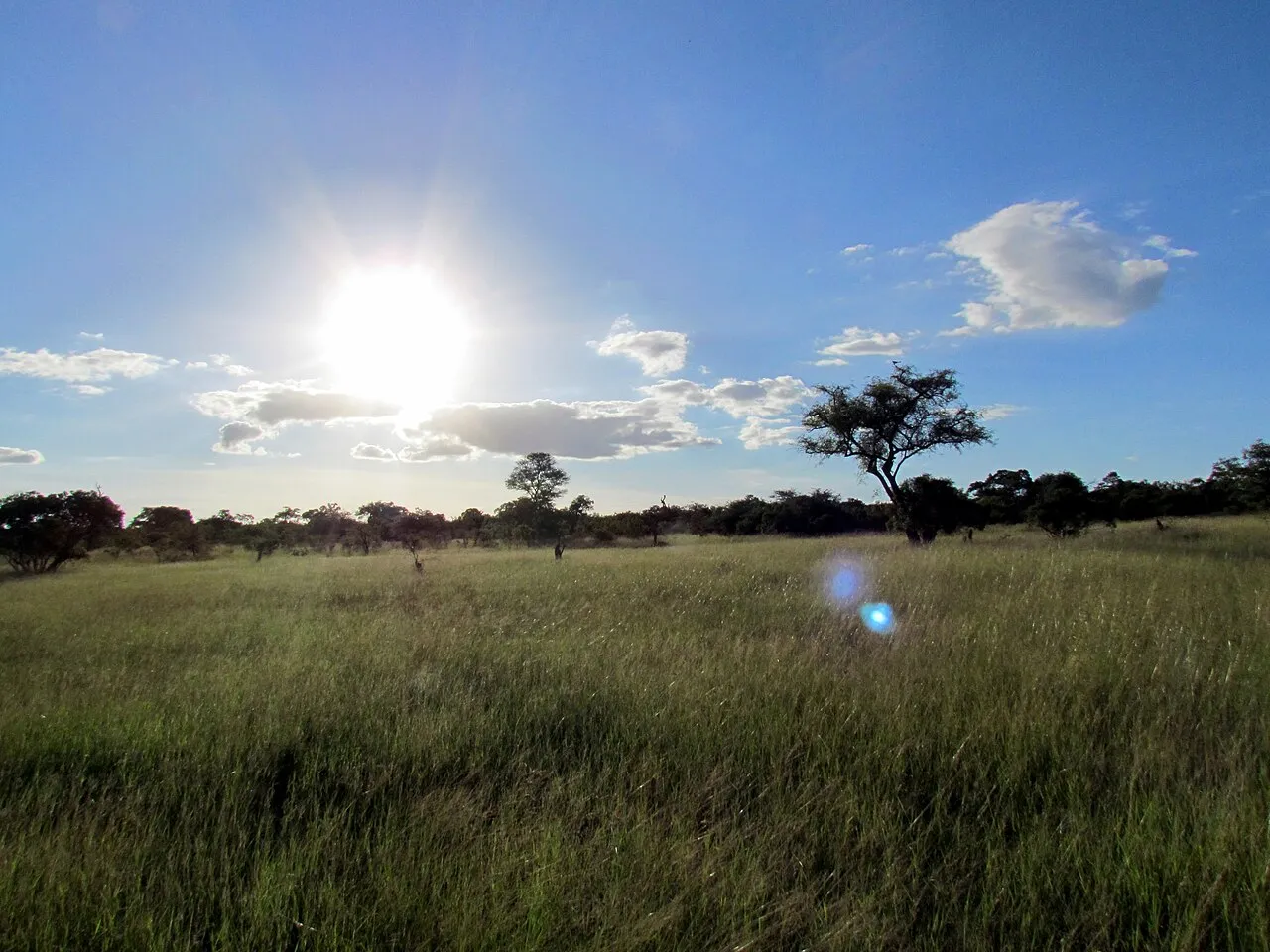 Wildlife and game drives near Serengeti Migration Camp in Central Serengeti