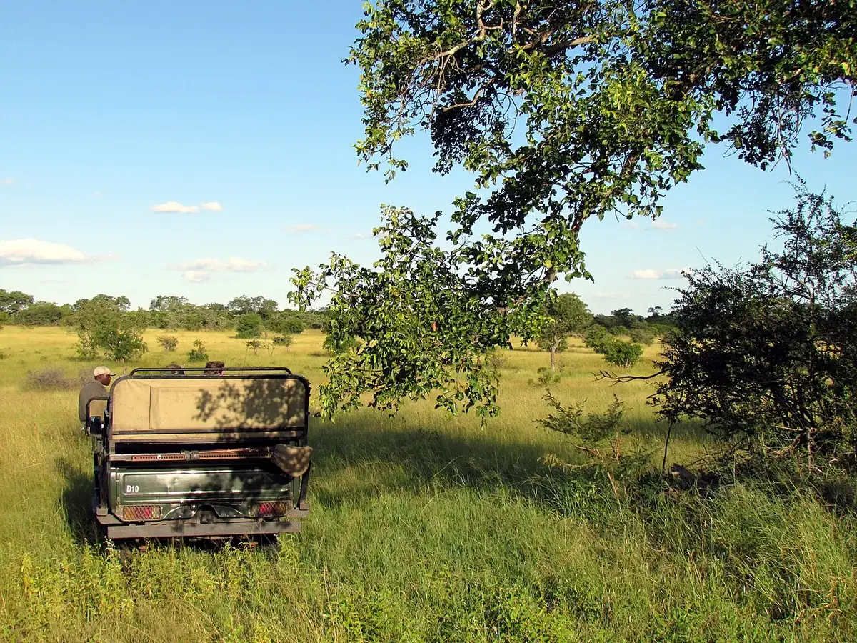 Wildlife and game drives near Muthaiga Country Club Guest Rooms in Nairobi National Park