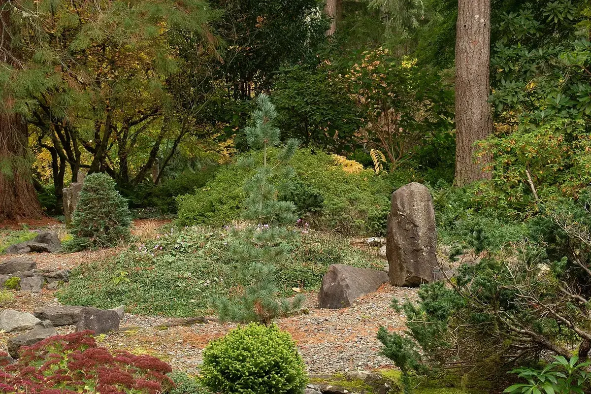 Lake Wilderness Arboretum in Maple Valley, Washington.