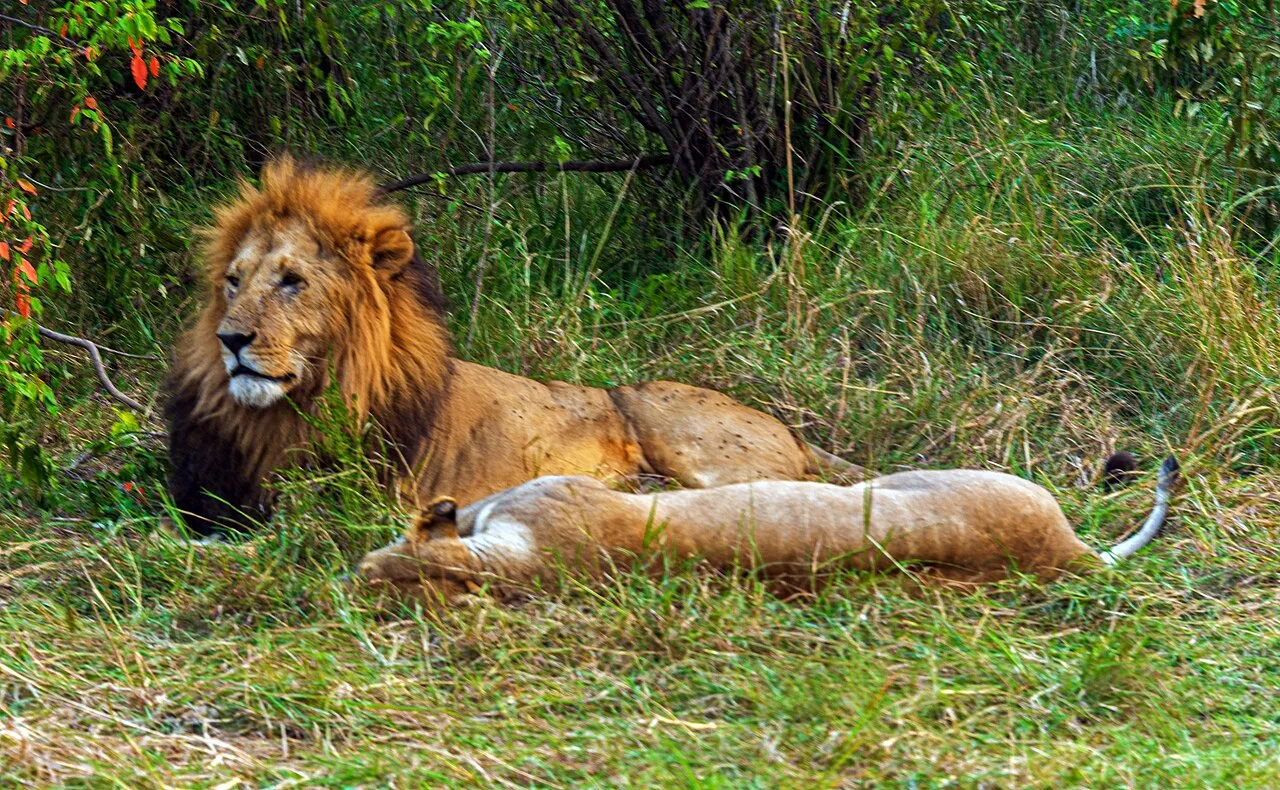 Per filename. They were taking a break between mating sessions
