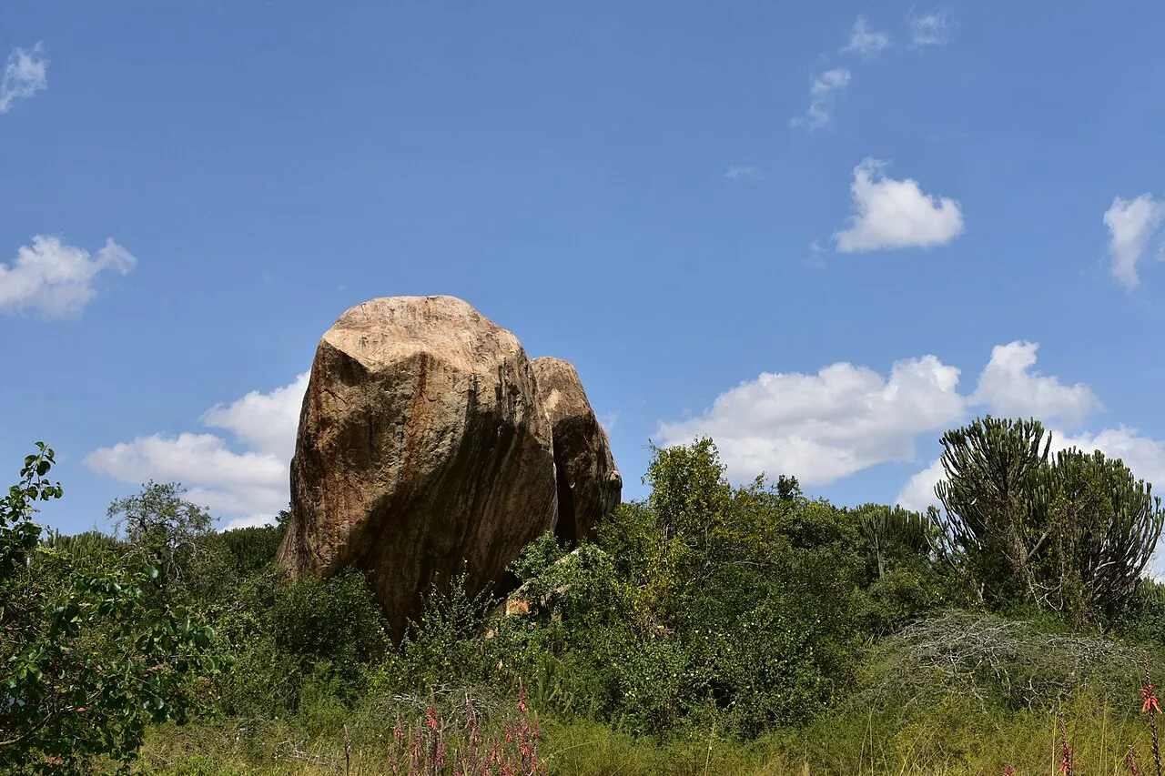 Serengeti landscape (1)