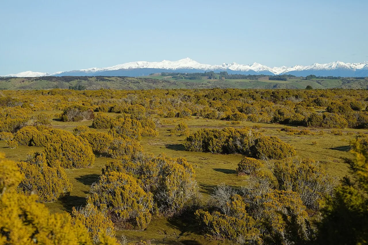 Wilderness Reserve with snow-covered mountains in the distance ( Mt Titiroa , Hunter Mountains )