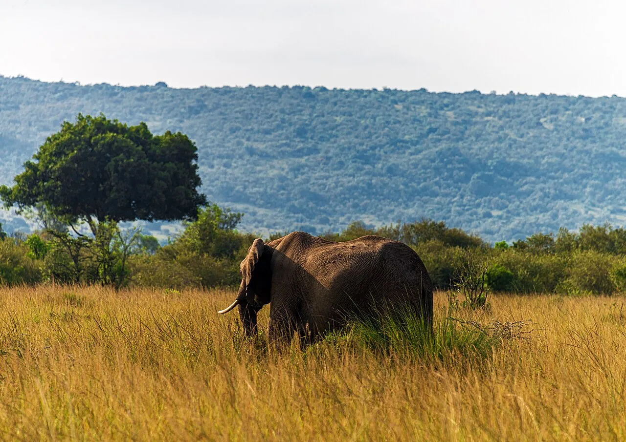 How many days do you need on safari?