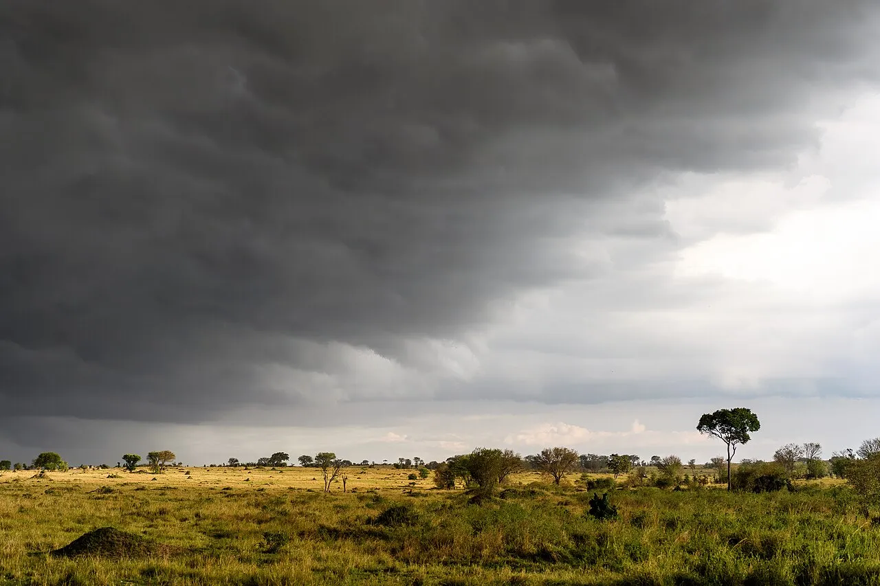 Near the banks of the Mara River in the northern Serengeti. The weather became quite extreme about 15 minutes later.