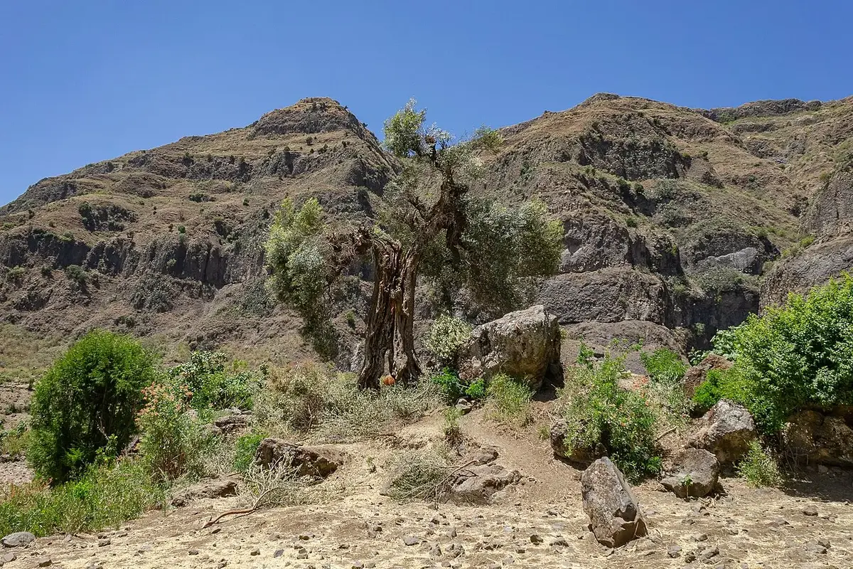 Sheno, Ethiopia