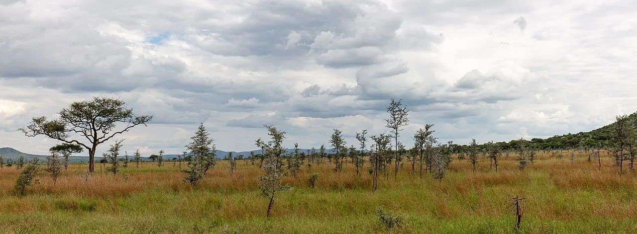 Landscape in Serengeti National Park, Tanzania