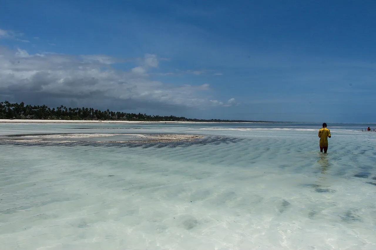 Splitting the days: Zanzibar beach (33911916866)
