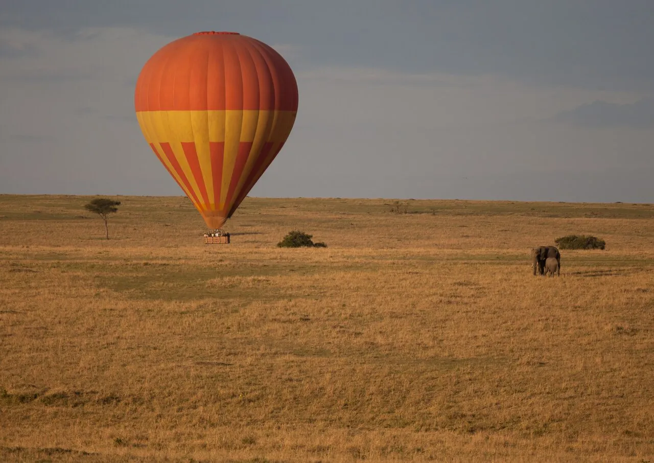 Hot air balloon safari early in the morning above the wildlife and the magnificent landscapes.