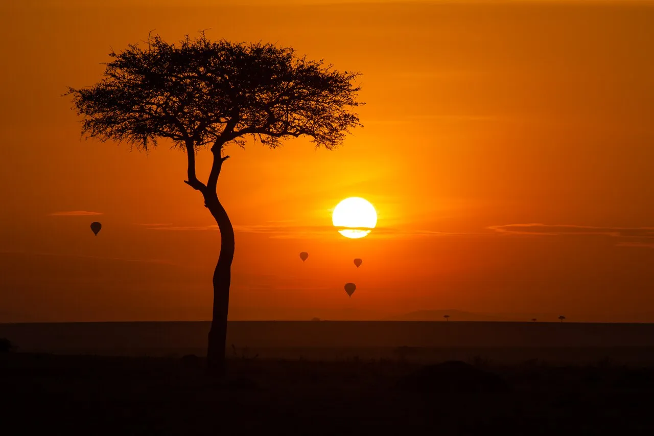 Wildlife and game drives near Windsor Golf Hotel & Country Club in Nairobi National Park