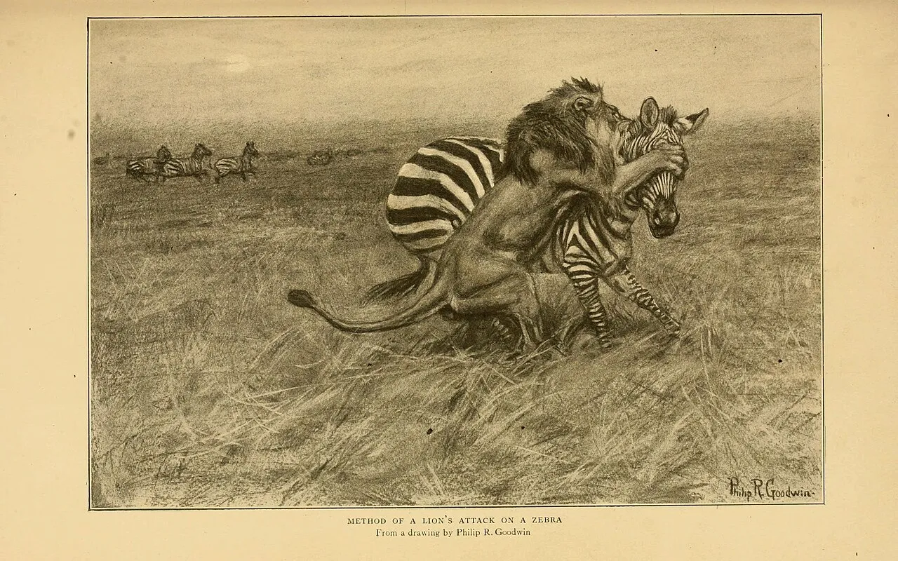 Life-histories of African game animals, by Theodore Roosevelt and Edmund Heller; with illustrations from photographs, and from drawings by Philip R. Goodwin; and with forty faunal maps ...