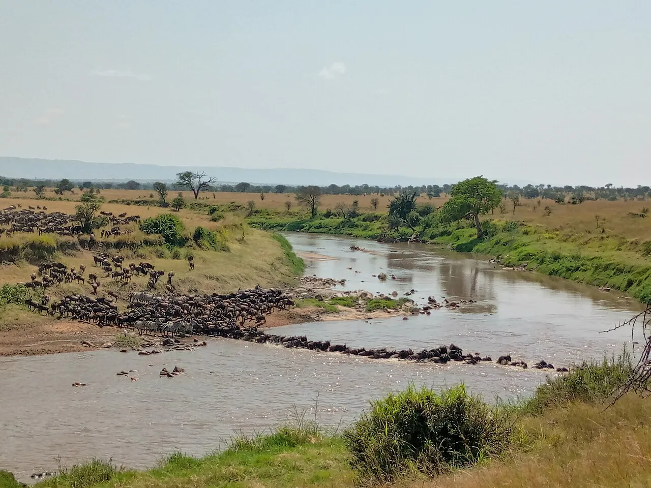 Twelve to fourteen days: the grand tour: Great Migration in Kogatende, Serengeti by Tanzania GET Safaris
