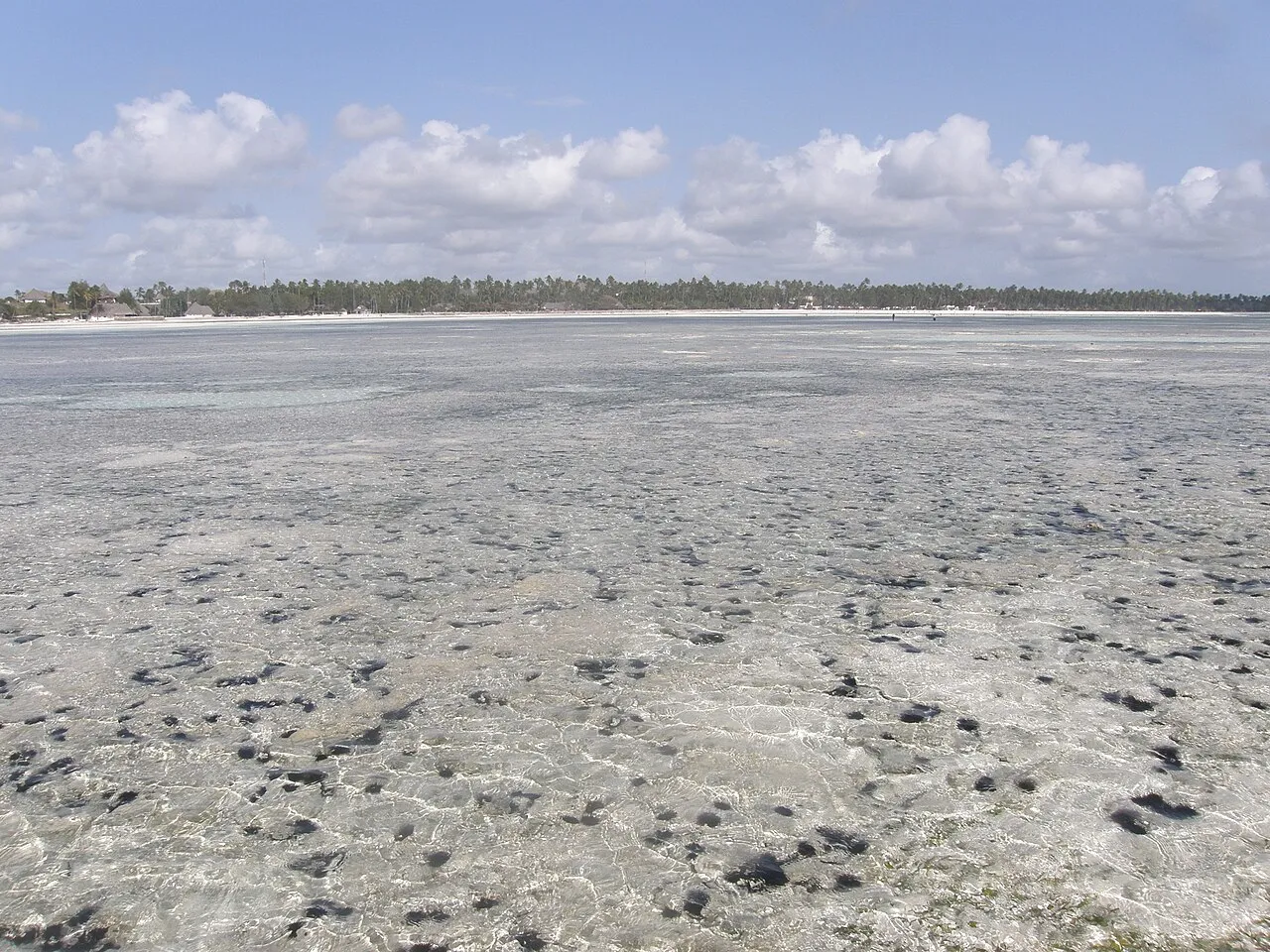 Zanzibar West Low-tide