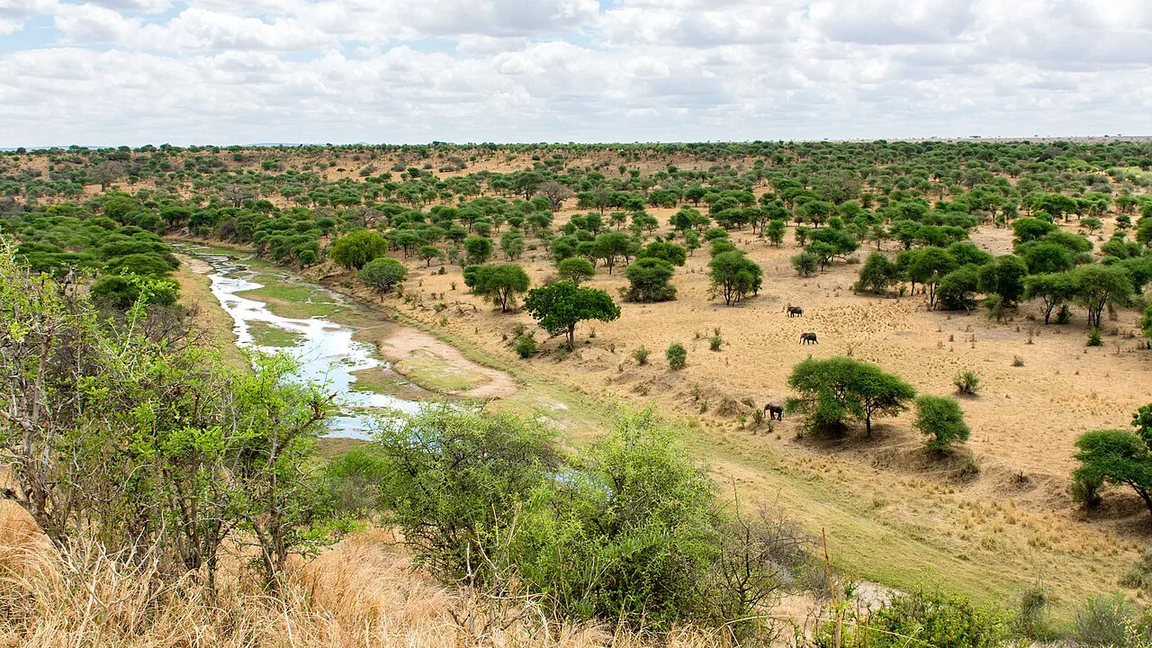 Tarangire National Park