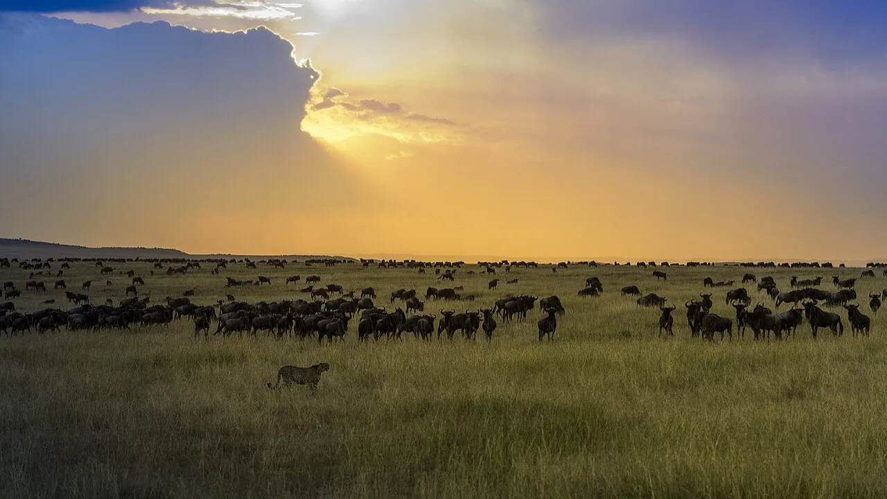 Romantic safari experiences in East Africa