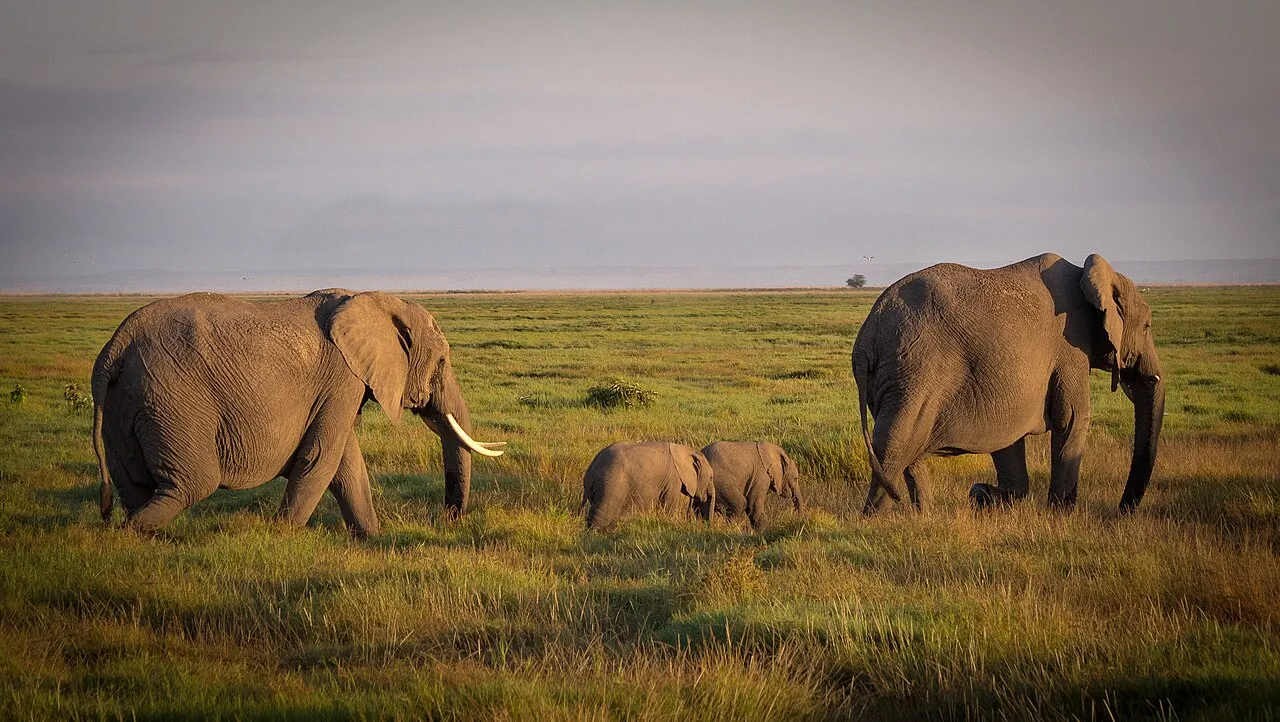Tarangire and Lake Manyara: the underrated start to Tanzania