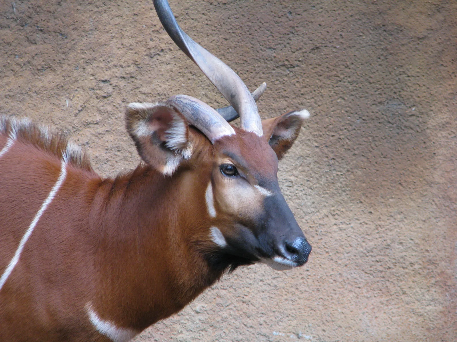Mount Kenya National Park