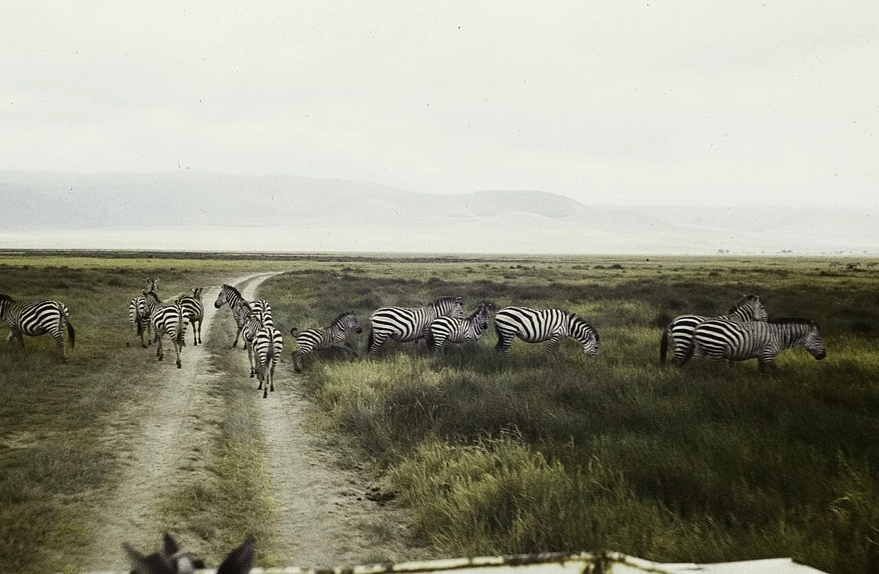 Kidepo Valley: Uganda's most remote safari