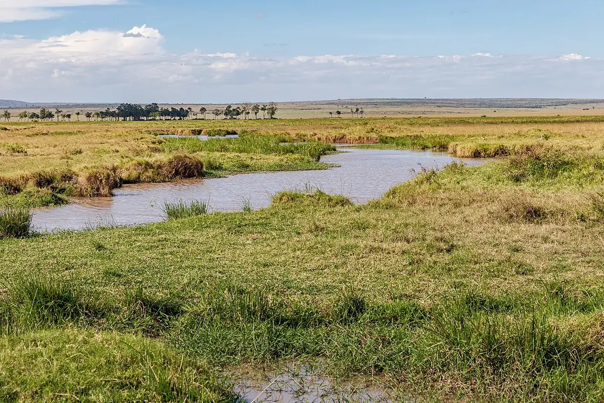 Kenyan landscape
