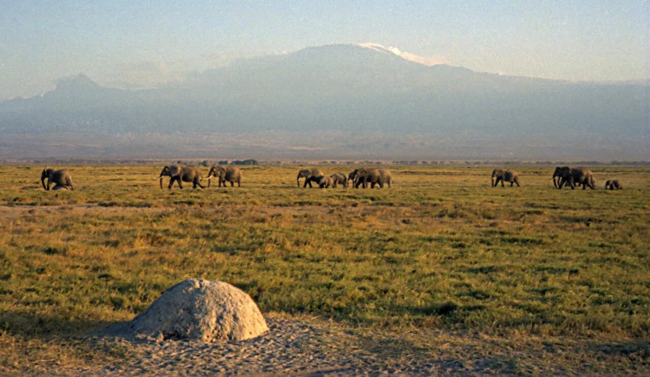 Lewa by Air: Your All-Inclusive Rhino Country Short Escape — 5 Days / 4 Nights luxury safari in Lewa, Kenya