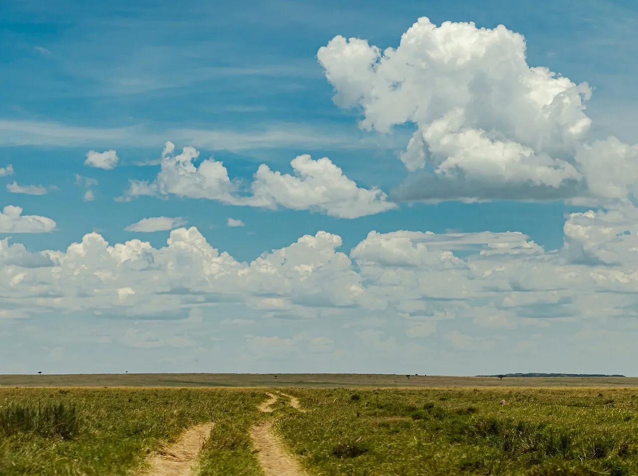 Kenyan landscape