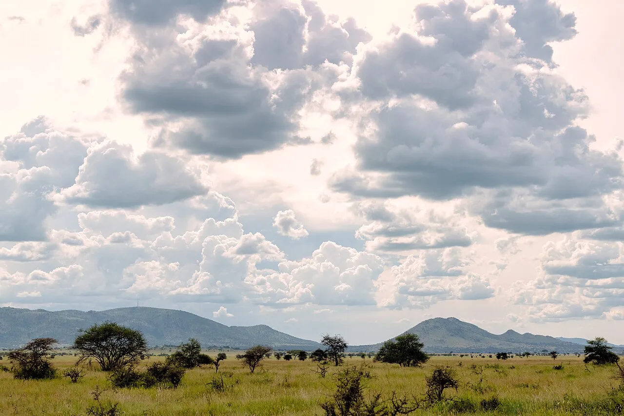 Tall Clouds Over the Southern Serengeti