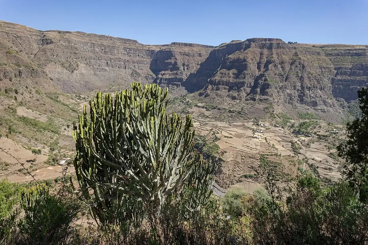 Sheno, Ethiopia