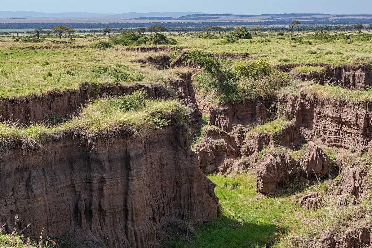 Kenyan landscape