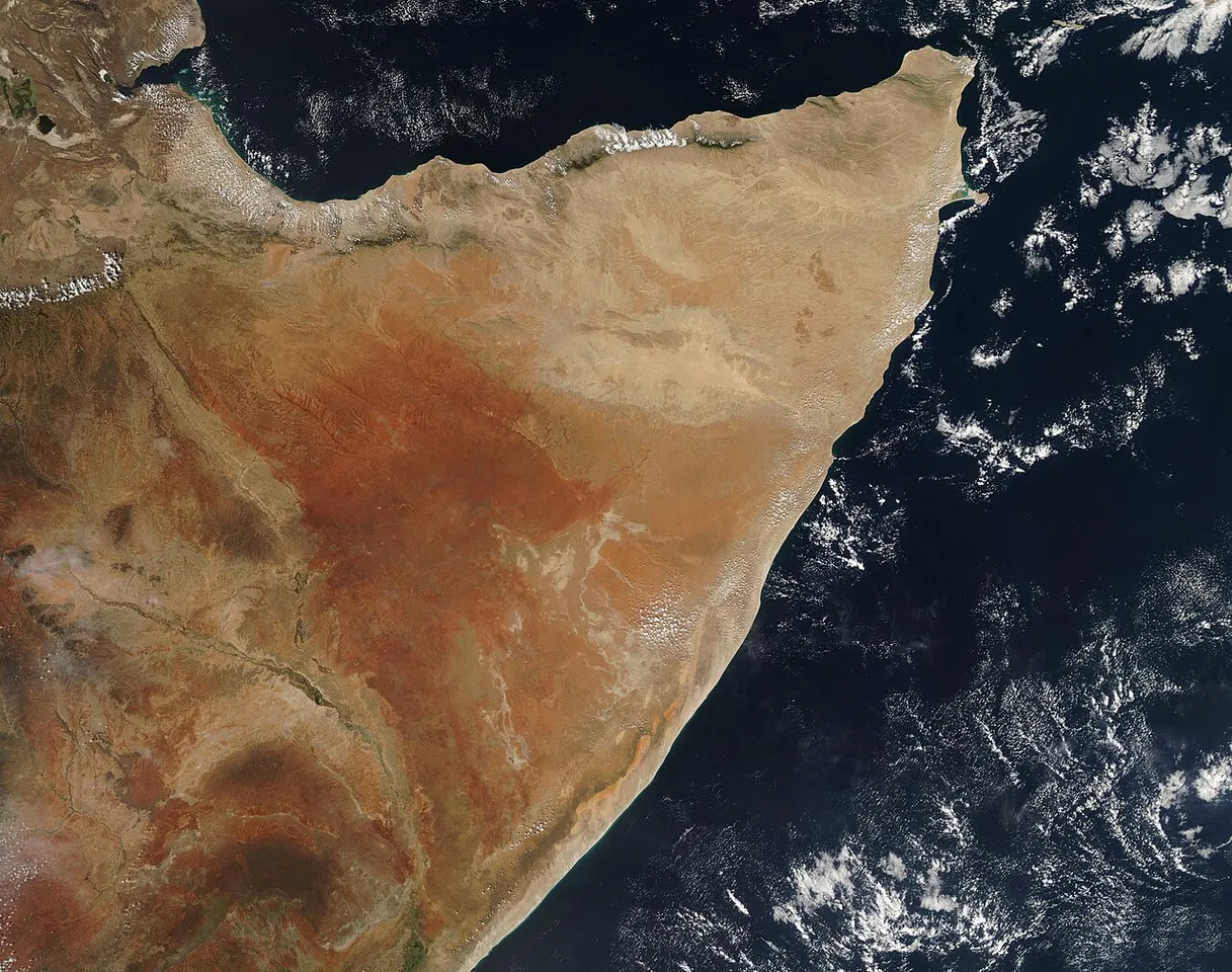 On the eastern coast of the continent of Africa and just north of the Tropic of Capricorn, an arid peninsula juts into the Indian Ocean, separating those waters from the Gulf of Aden (northeast) and the Red Sea (along the northwestern coast of the peninsula). This massive projection carries the name of the Horn of Africa, most likely because it appears much like the broad horn carried by the Black Rhinoceros—a critically endangered species that once freely roamed these lands. After a 96 percent