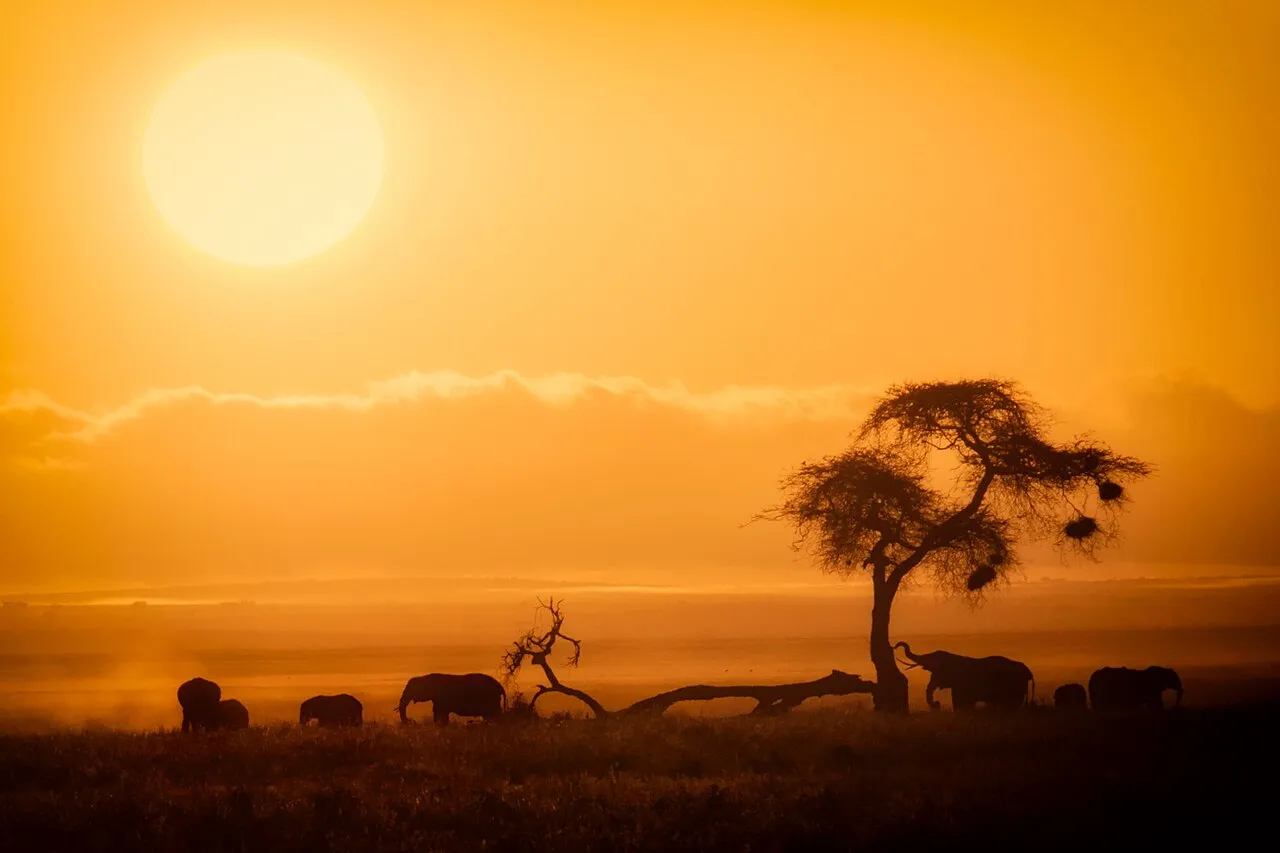 Photography Safaris