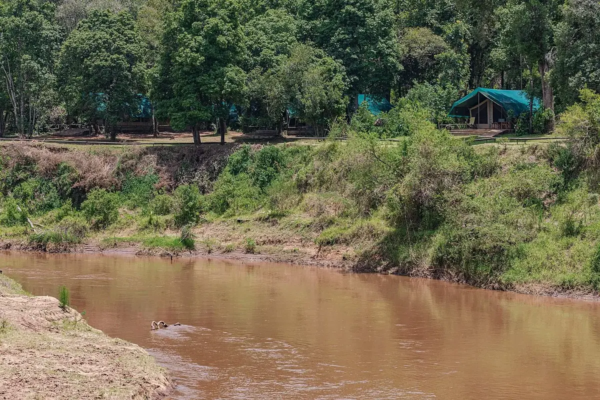 River in Masai Mara
