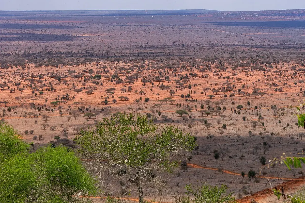 Kenya