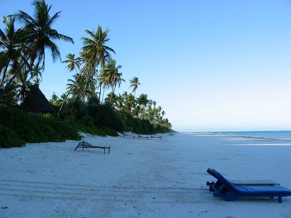 Zanzibar safari — a palm-fringed Zanzibar beach with white sand and calm turquoise water