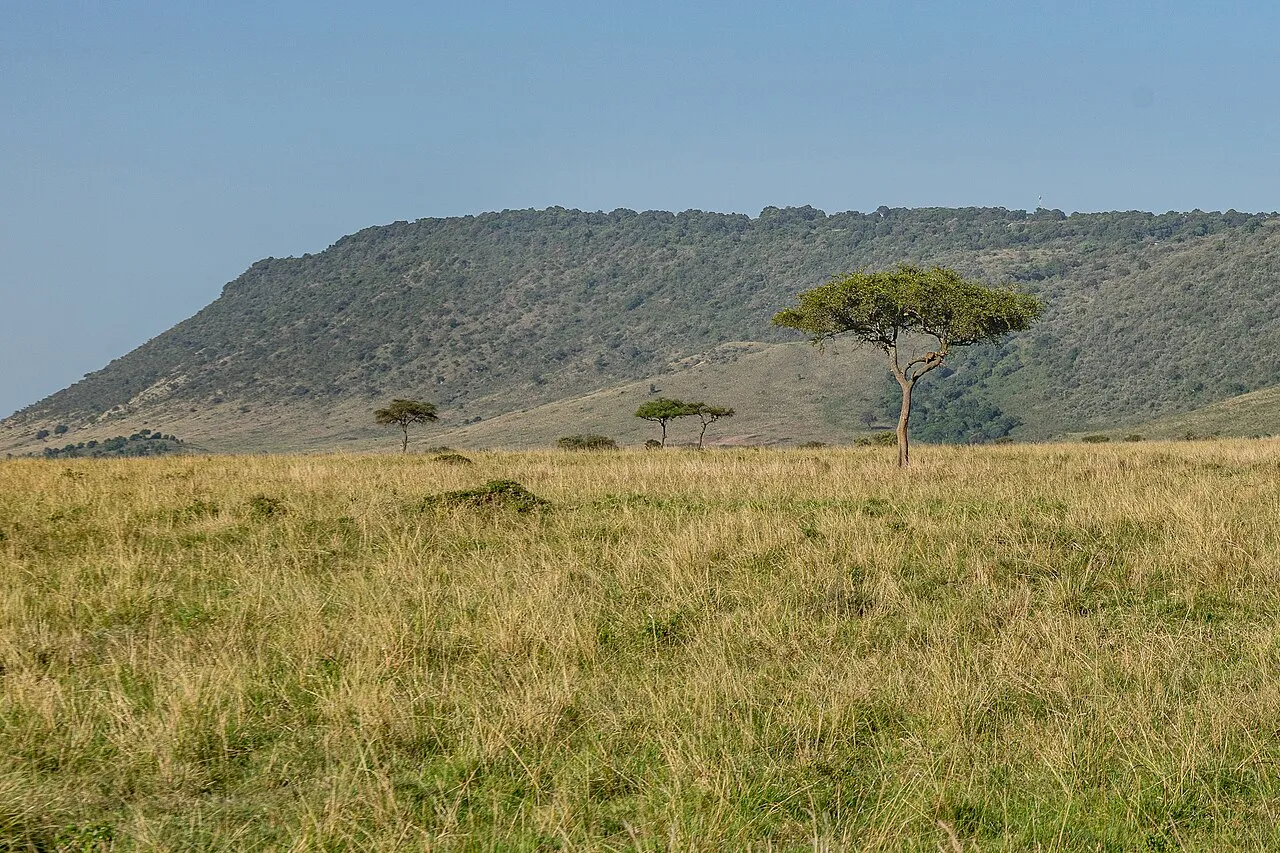 African landscape (with a leopard).