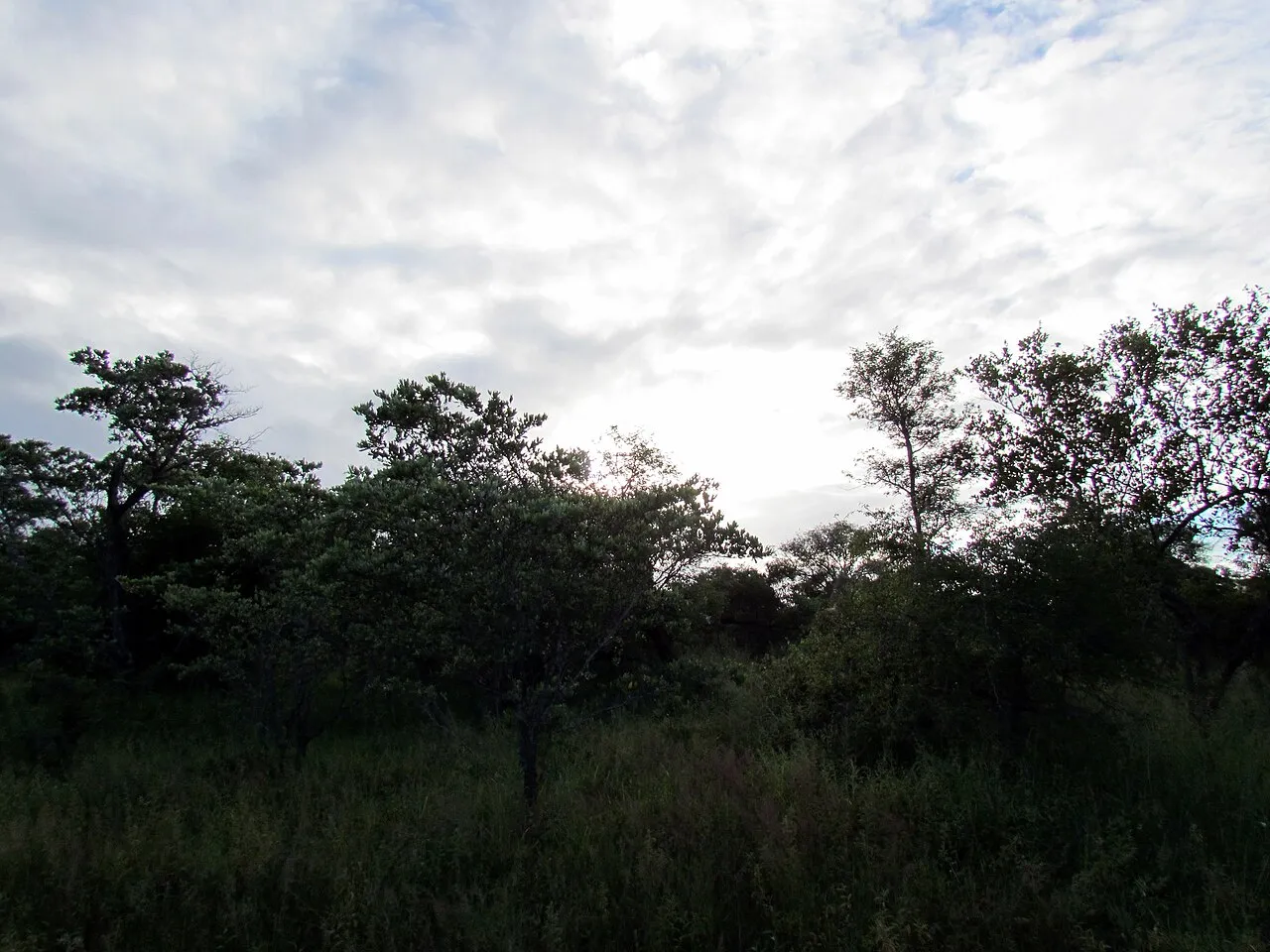 Wildlife and game drives near Kentmere Club Limuru in Nairobi National Park