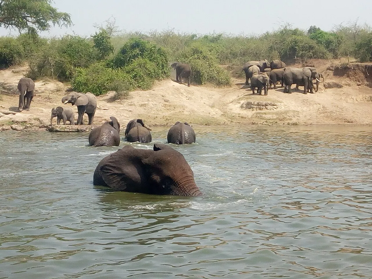 Wildlife and game drives near Great Rift Valley Lodge & Golf Resort in Lake Naivasha