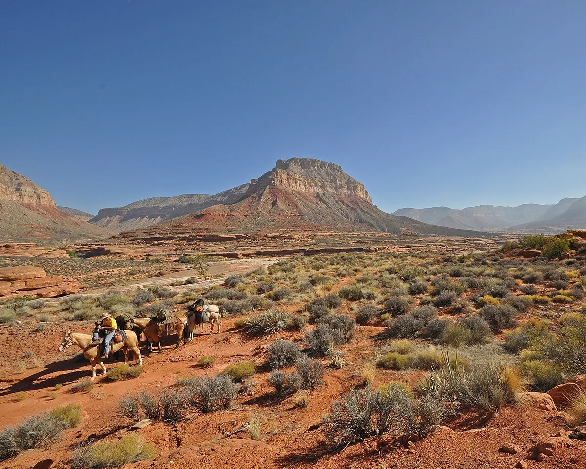 Kanab Creek Wilderness, one of the major tributaries of the Colorado River, contains a vast network of vertical walled gorges. Elevations within this wilderness range from 2,000 feet at the creek to 6,000 feet at the canyon rims. Extreme heat and scarcity of water during the summer make spring and fall the ideal times to visit this wilderness. Please give credit to: USDA Forest Service, Soutwestern Region, Kaibab National Forest.