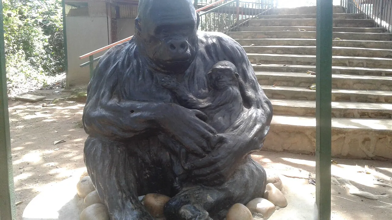 It shows how uganda wildlife is also composed of animals like chimpanzees.