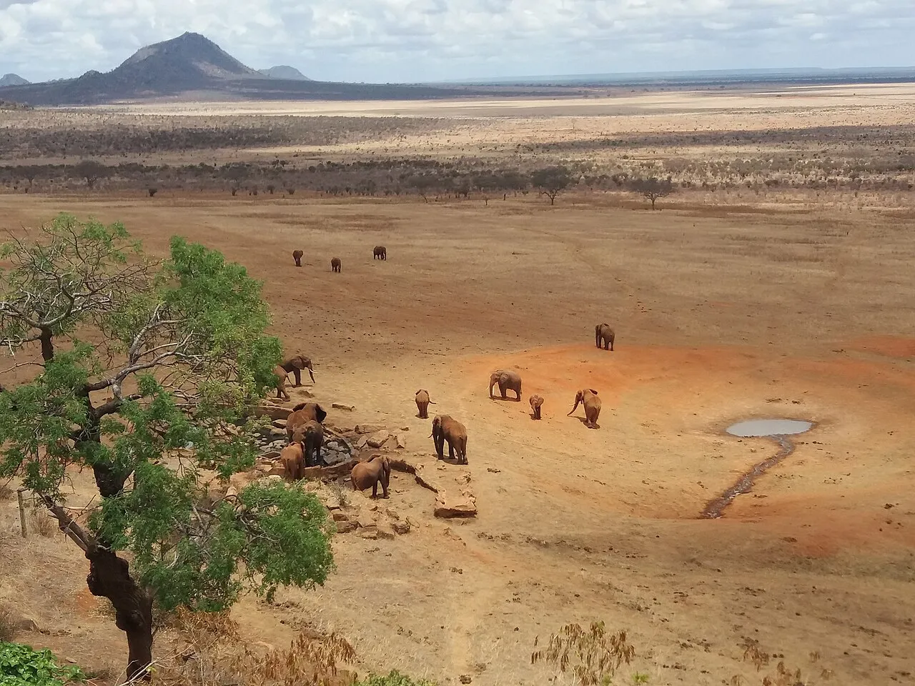 Top private conservancies in the Maasai Mara