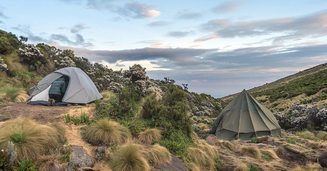 Finish with time on the coast: Mount Kenya National Park - 54251808297