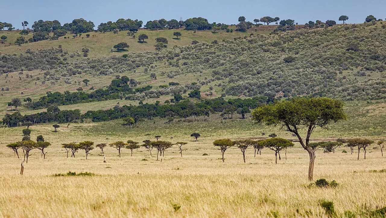 Kenyan landscape