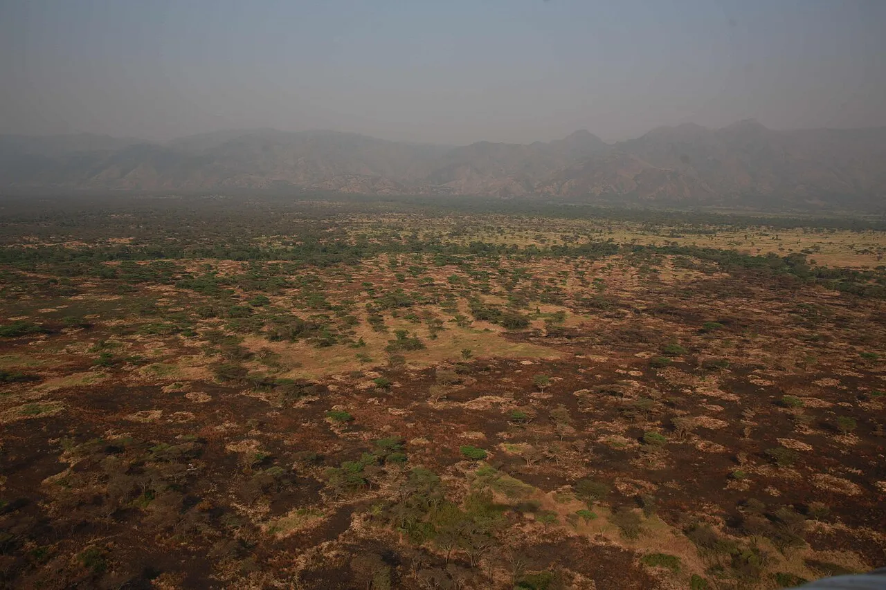 photo MONUSCO / Abel Kavanagh