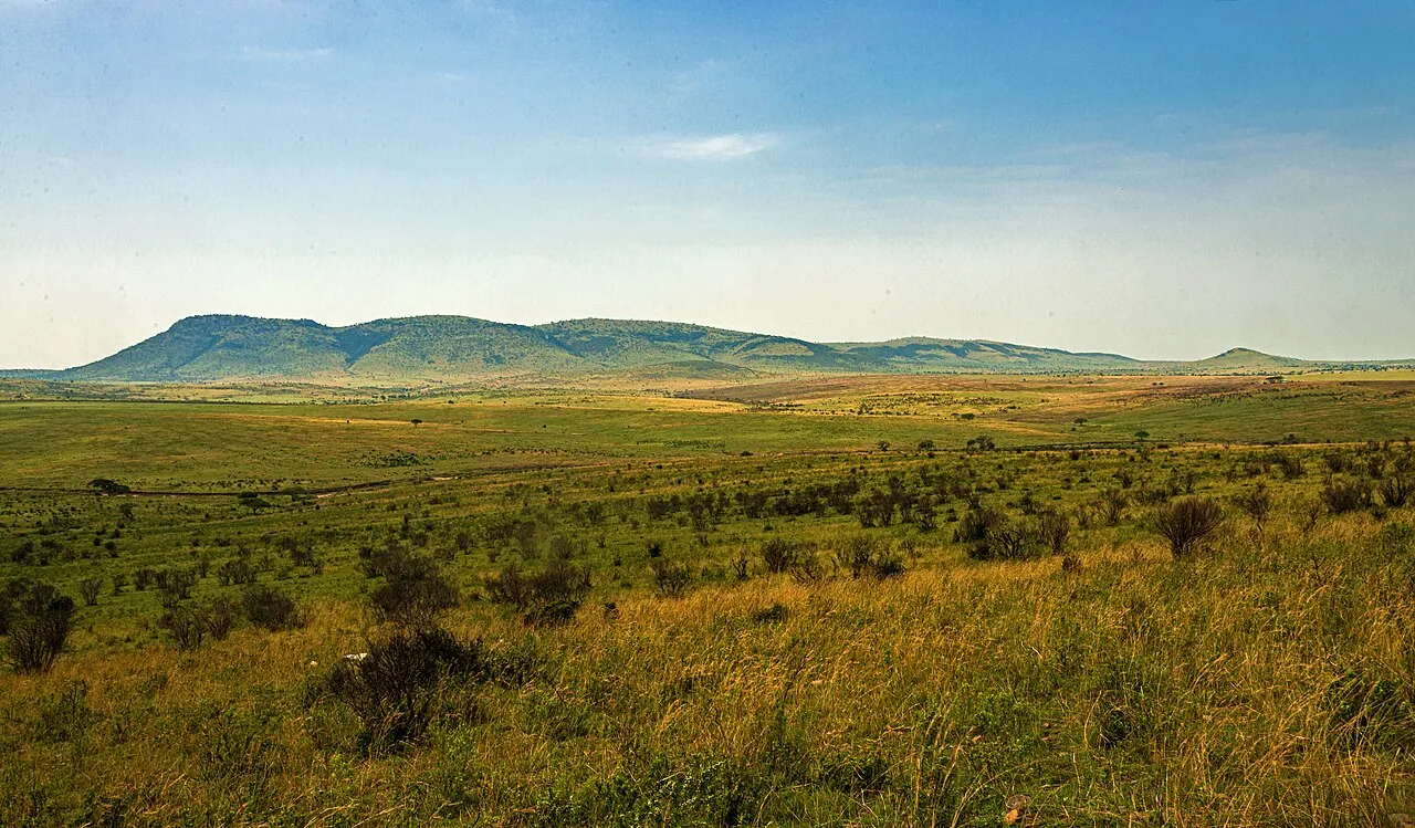 View south from Kenya Highway C12 in Maasai Mara National Reserve as it approaches the Sand River park gate and the Tanzanian border beyond. The river can be seen in the middle of the landscape; the border is on land not far past it.
