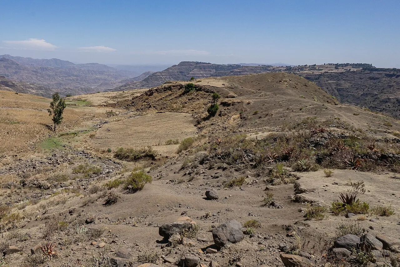 Sheno, Ethiopia About 75 km northeast from Addis Abeba