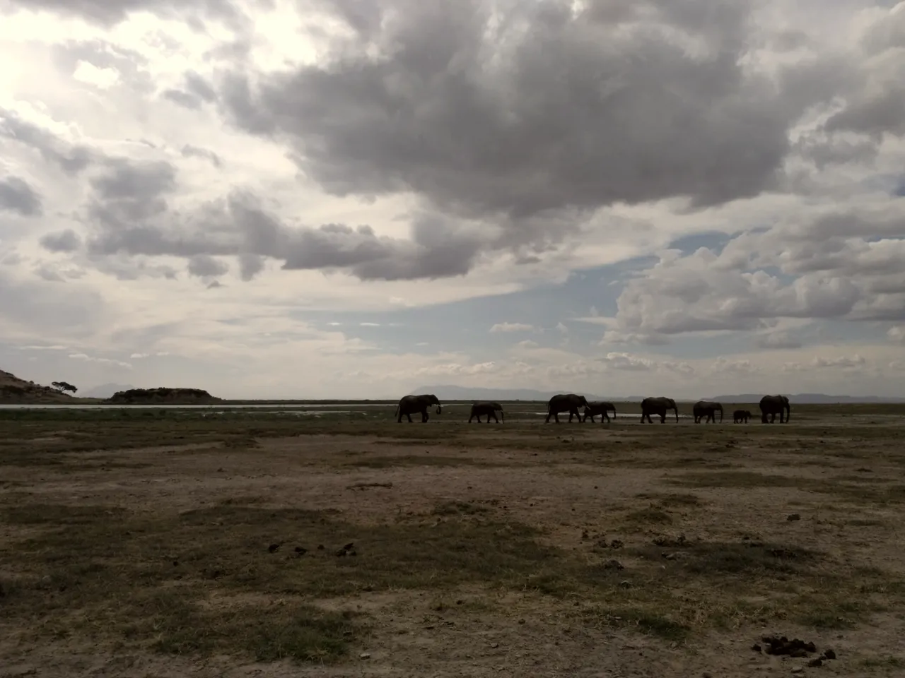 Tarangire National Park