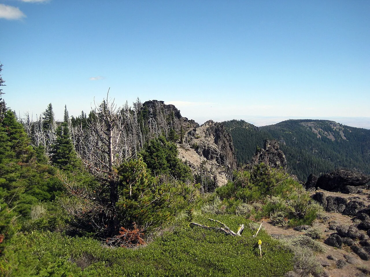 Along the divide east-southeast of Lookout Mountain in the Badger Creek Wilderness in the Mount Hood National Forest .