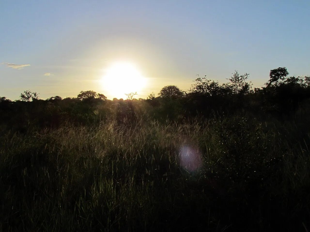 Wildlife and game drives near Great Rift Valley Lodge & Golf Resort in Lake Naivasha