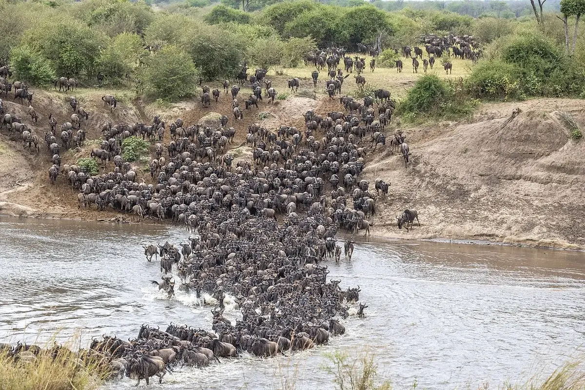 Sabyinyo Silverback Lodge on day 8 of Maasai Mara & Rwanda: Big Cat Plains to Gorilla Forests