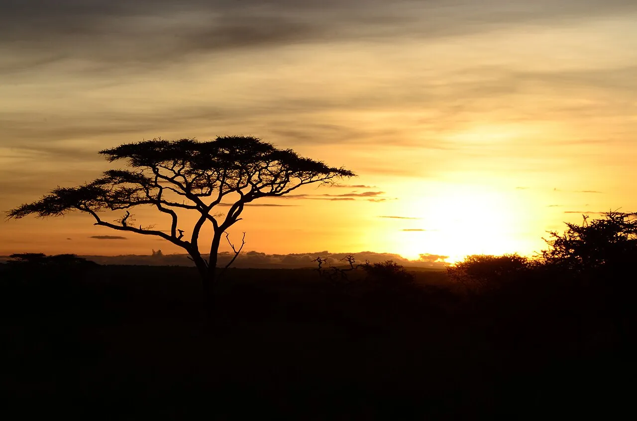 500px provided description: clasic landscape shot on Serengeti [#africa ,#serengeti ,#d7000 ,#sigma 50-500mm]