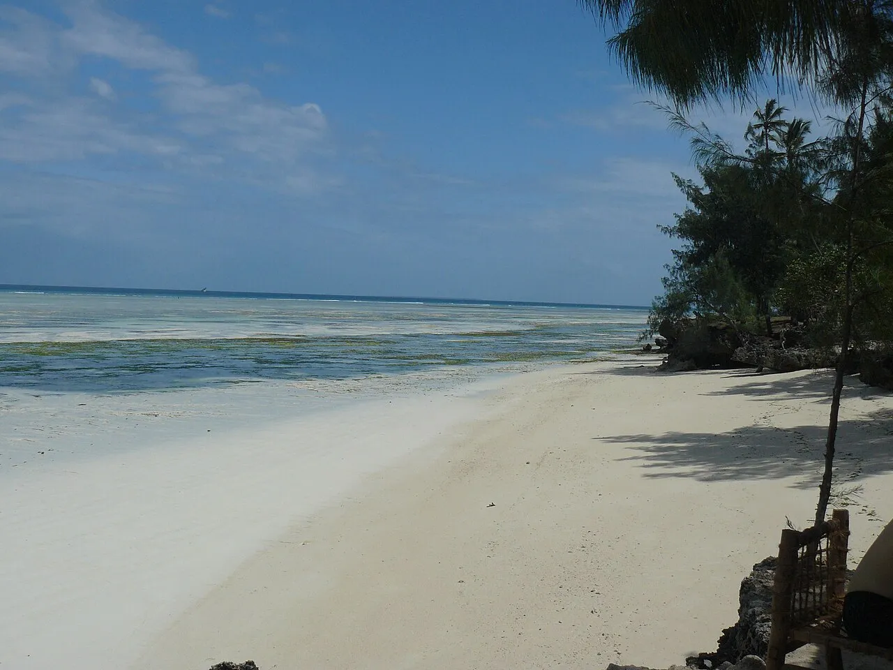 Zanzibar Beach
